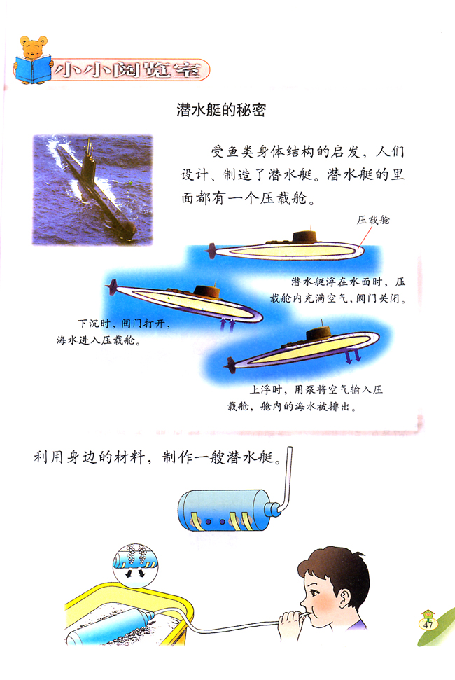 3 跟小鱼学潜水(第47页)
