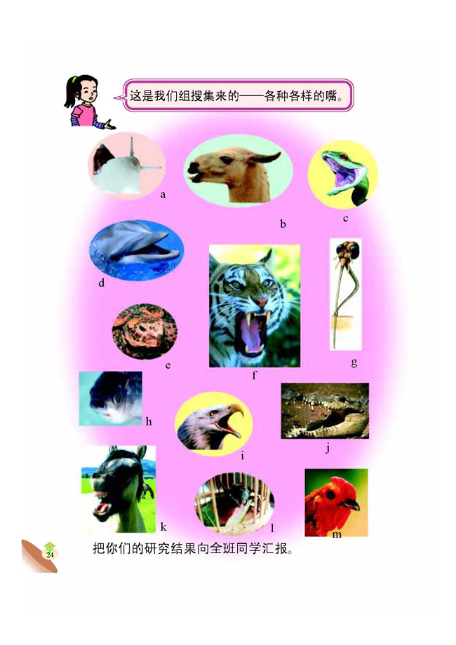 1 动物的食物(第24页)