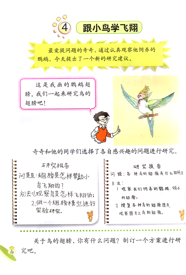 4 跟小鸟学飞翔(第48页)