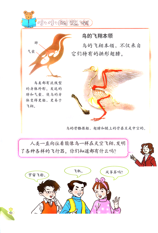 4 跟小鸟学飞翔(第50页)
