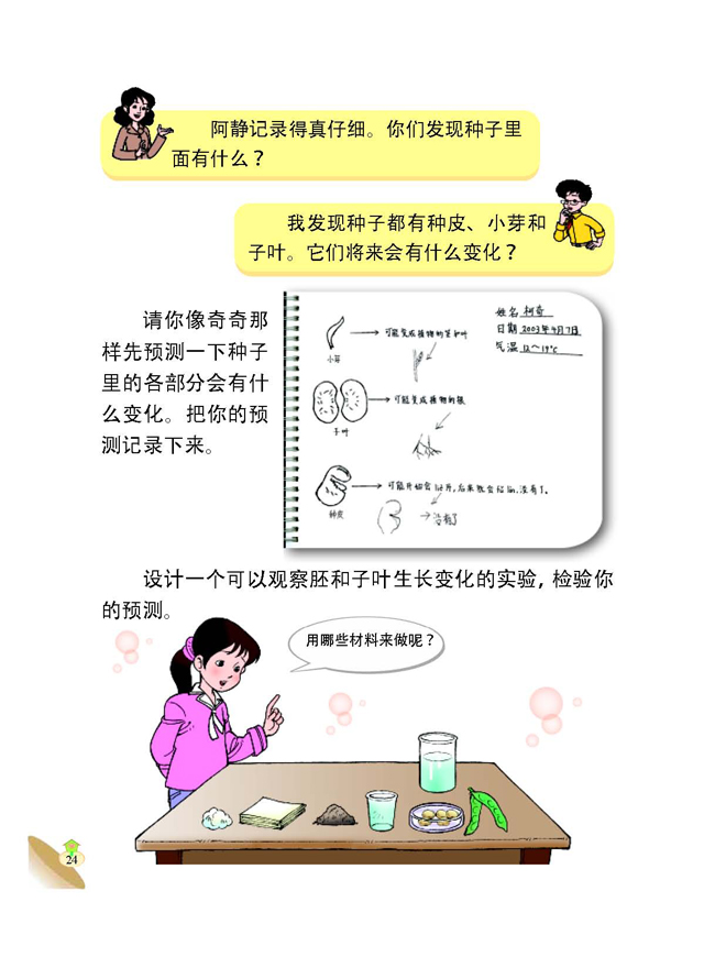 1 植物的种子(第24页)