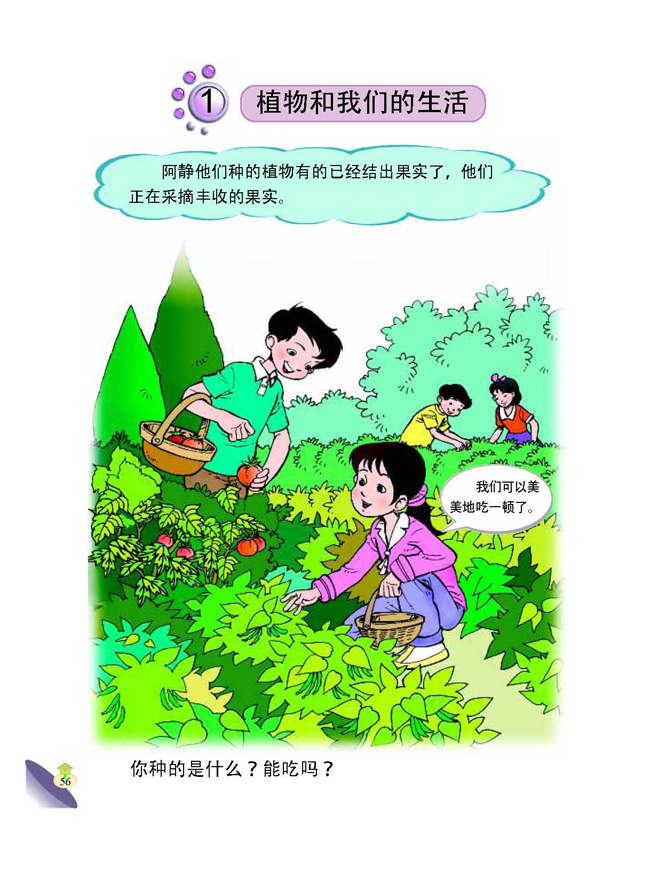 1 植物和我们的生活(第56页)