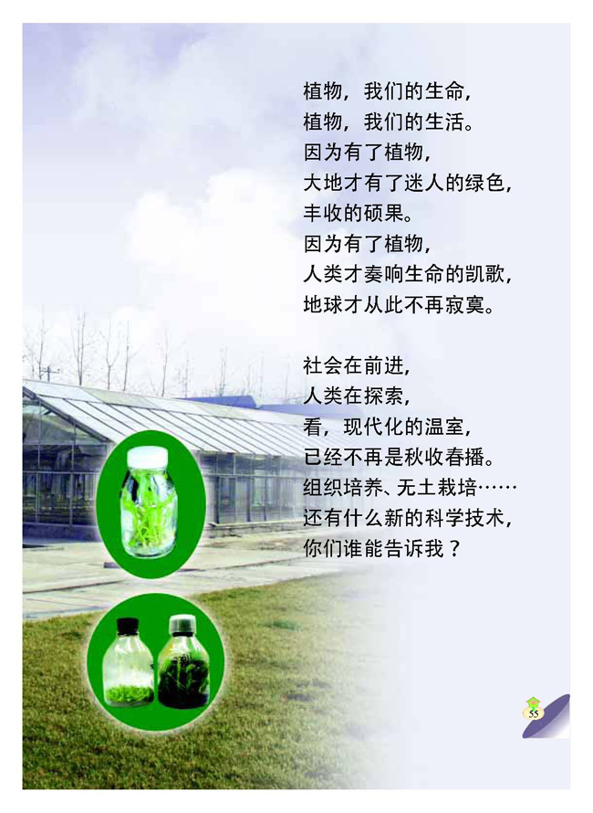 四 植物和我们(第55页)