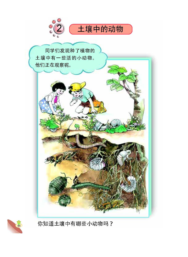2 土壤中的动物(第44页)