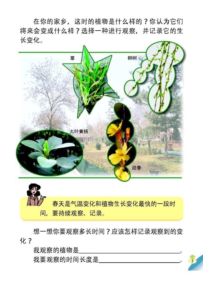 1 观察春天的植物(第6页)