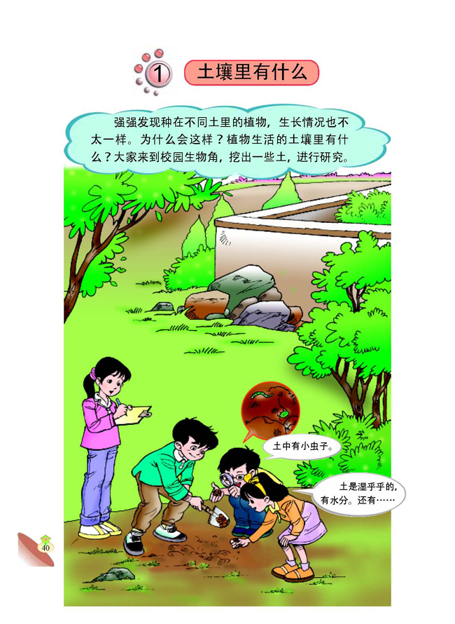 1 土壤里有什么(第40页)