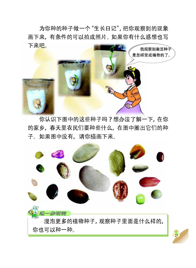 1 植物的种子(第25页)