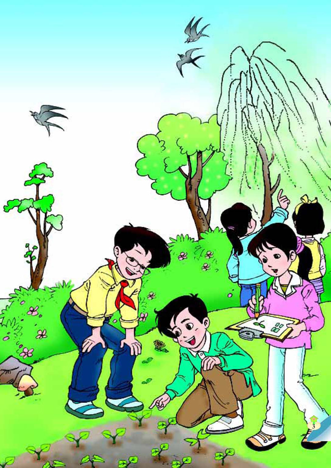 一 天气与植物(第4页)