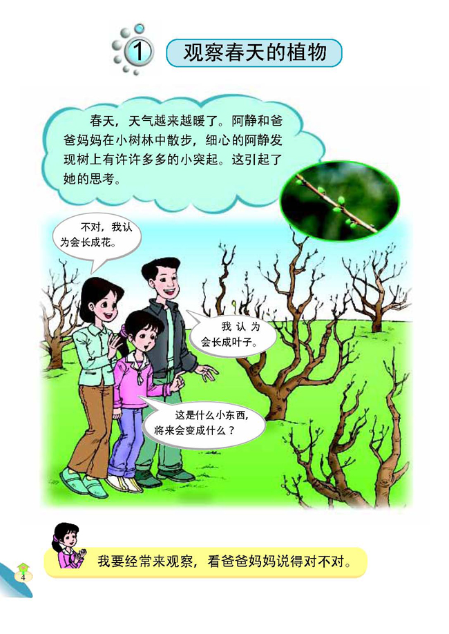 1 观察春天的植物(第5页)