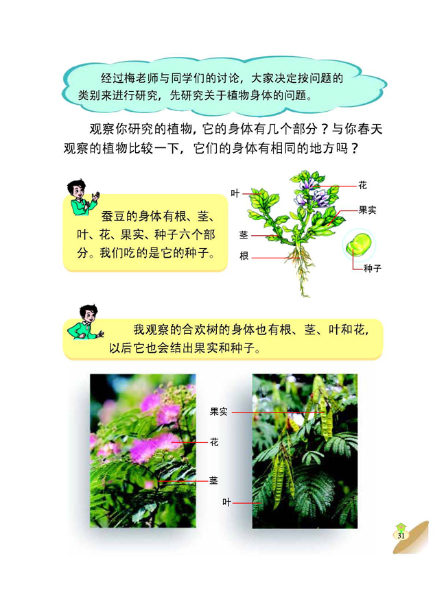 3 植物的身体(第31页)