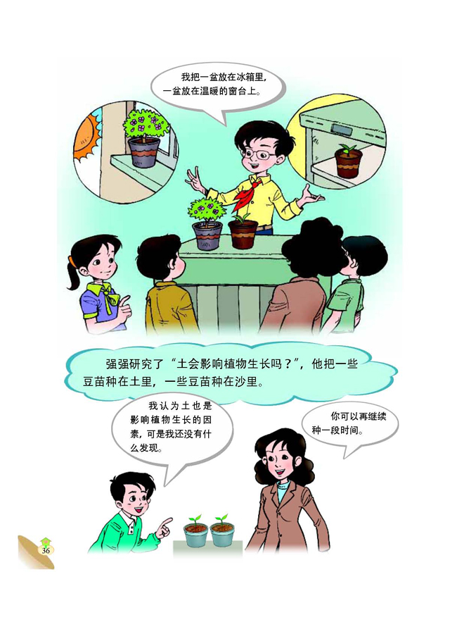 4 是什么在影响植物生长(第36页)