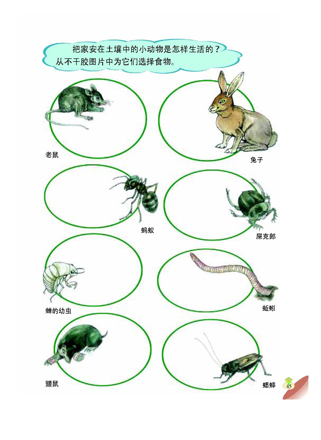 2 土壤中的动物(第45页)