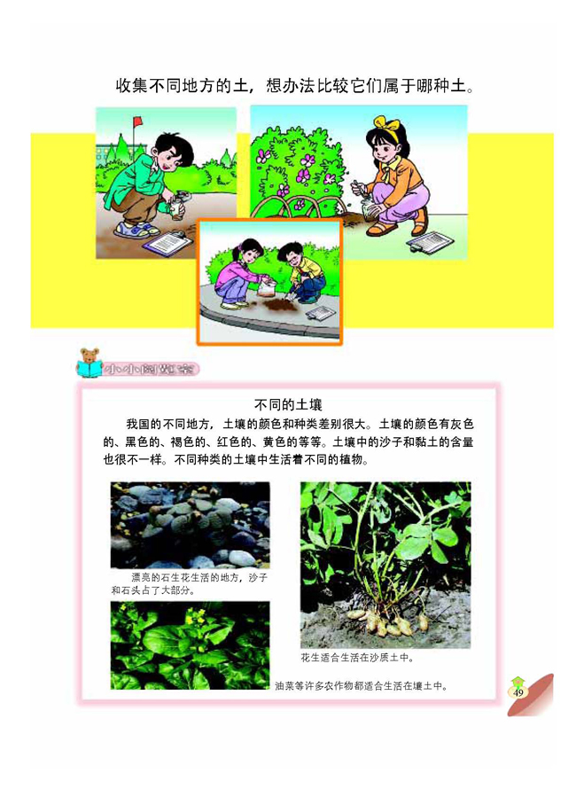 3 种在哪种土壤里好(第49页)