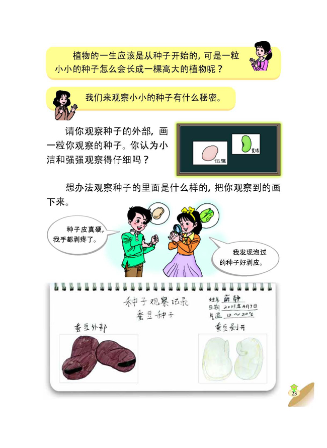 1 植物的种子(第23页)