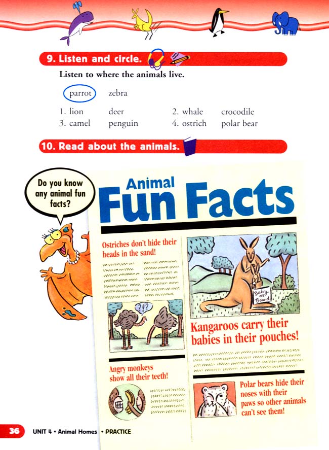 unit 4 Animal Homes(第36页)
