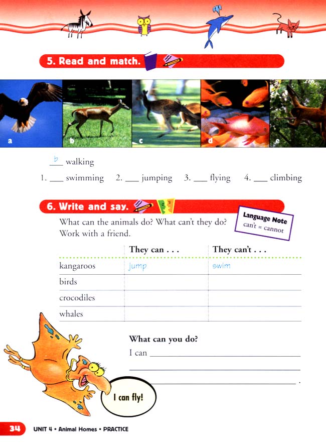unit 4 Animal Homes(第34页)