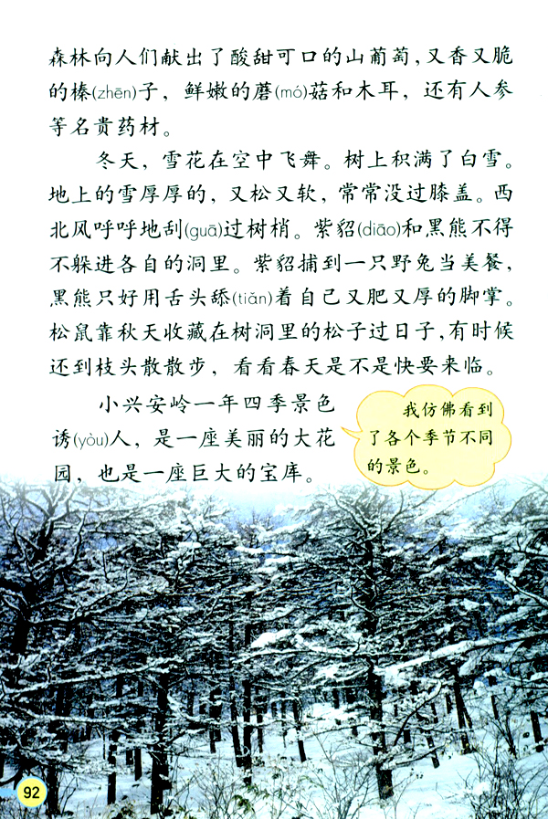 23 美丽的小兴安岭(第92页)