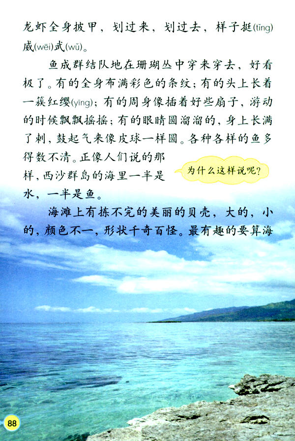 22 富饶的西沙群岛(第88页)