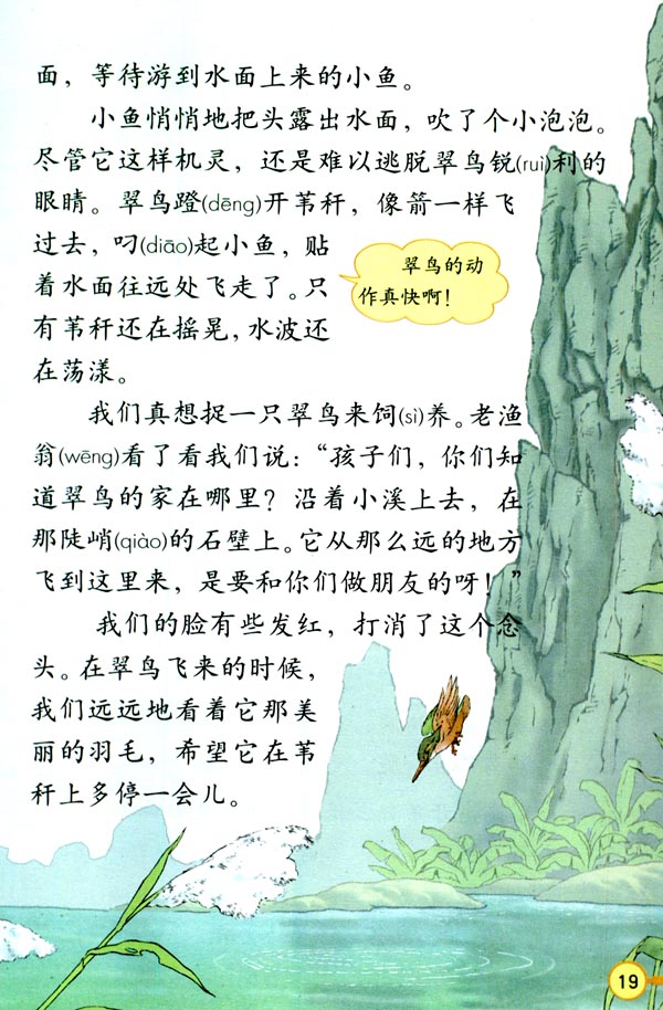 5 翠鸟(第19页)