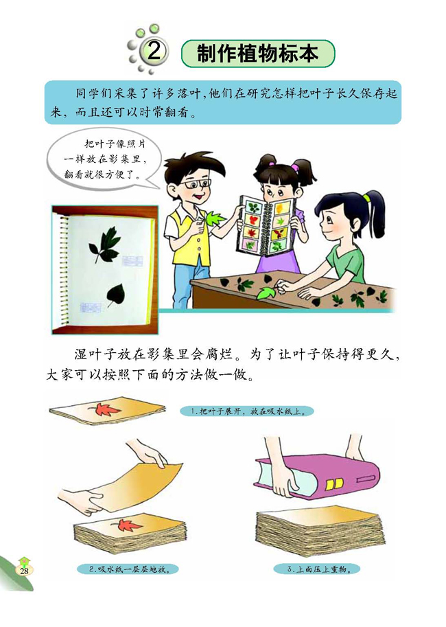 2 制作植物标本(第28页)