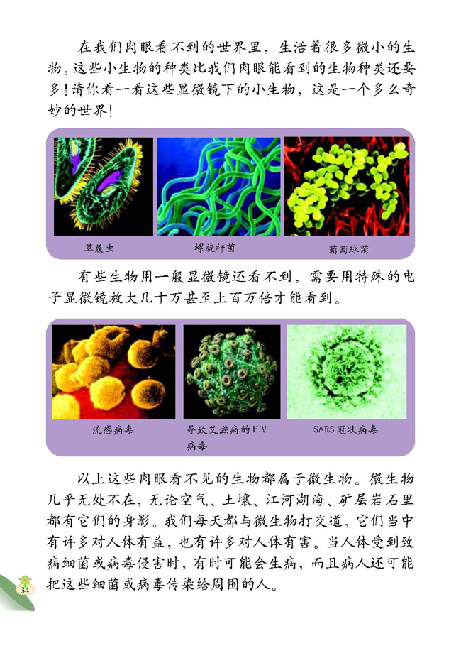 4 肉眼看不见的生物(第34页)