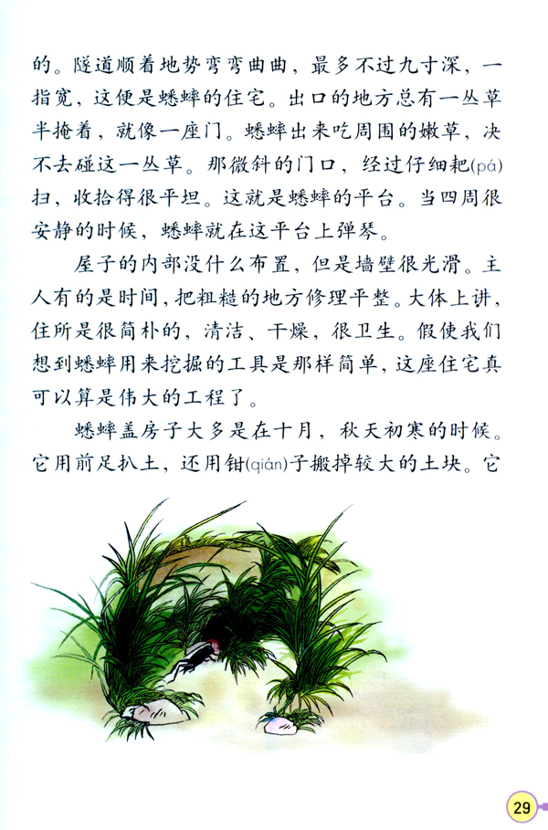 7 蟋蟀的住宅(第29页)