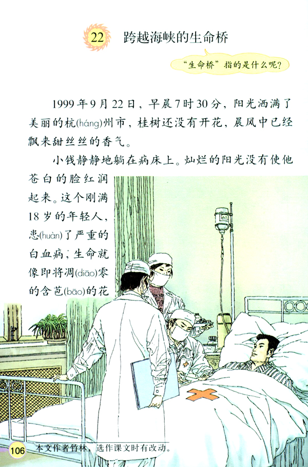 22 跨越海峡的生命桥(第106页)