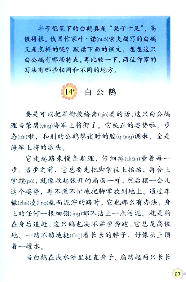14 白公鹅(第67页)