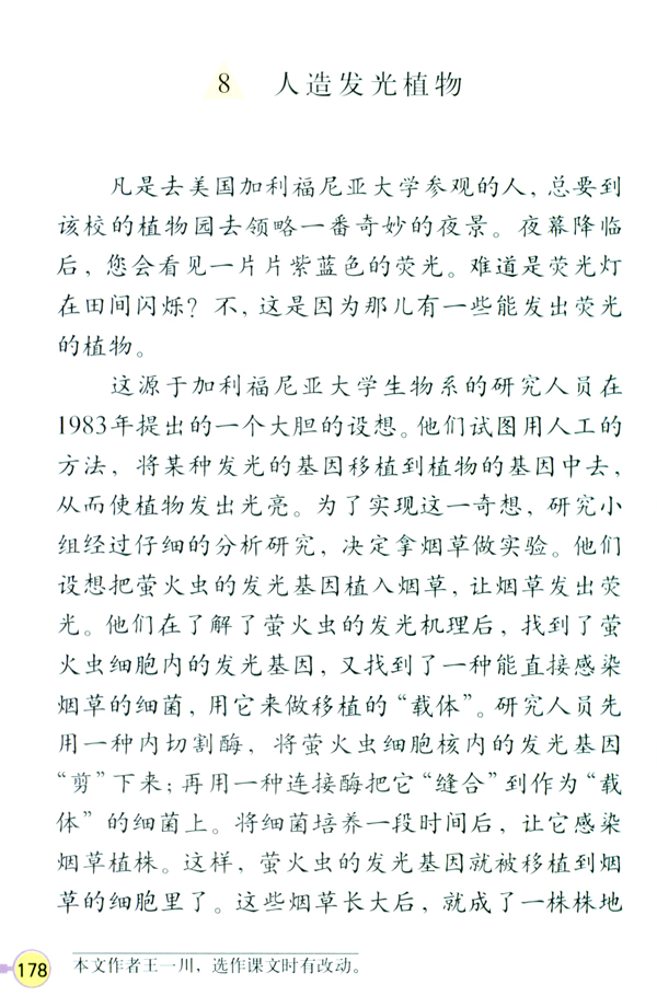 8 人造发光植物(第178页)