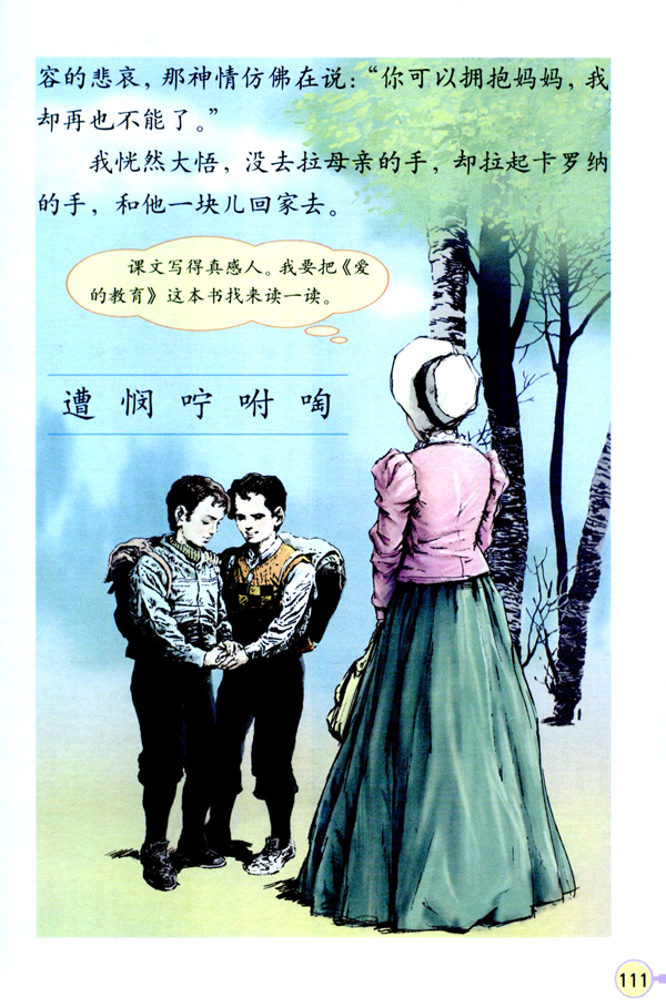 23 卡罗纳(第111页)