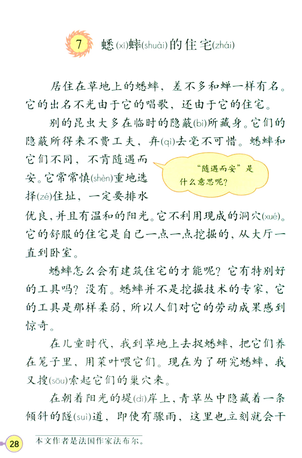 7 蟋蟀的住宅(第28页)