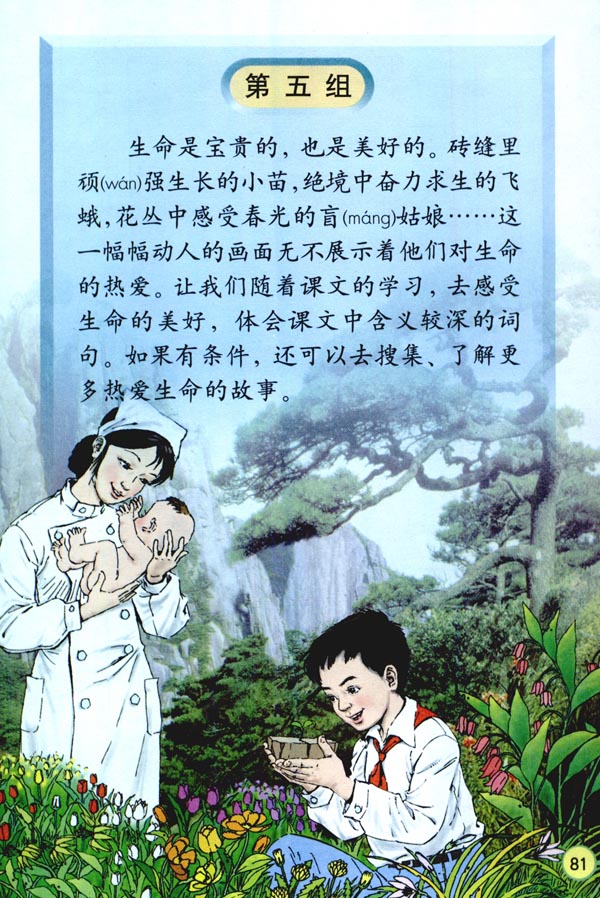 第五组(第81页)