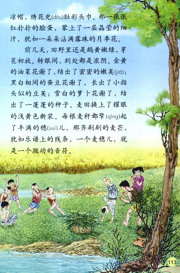 24* 麦哨(第113页)