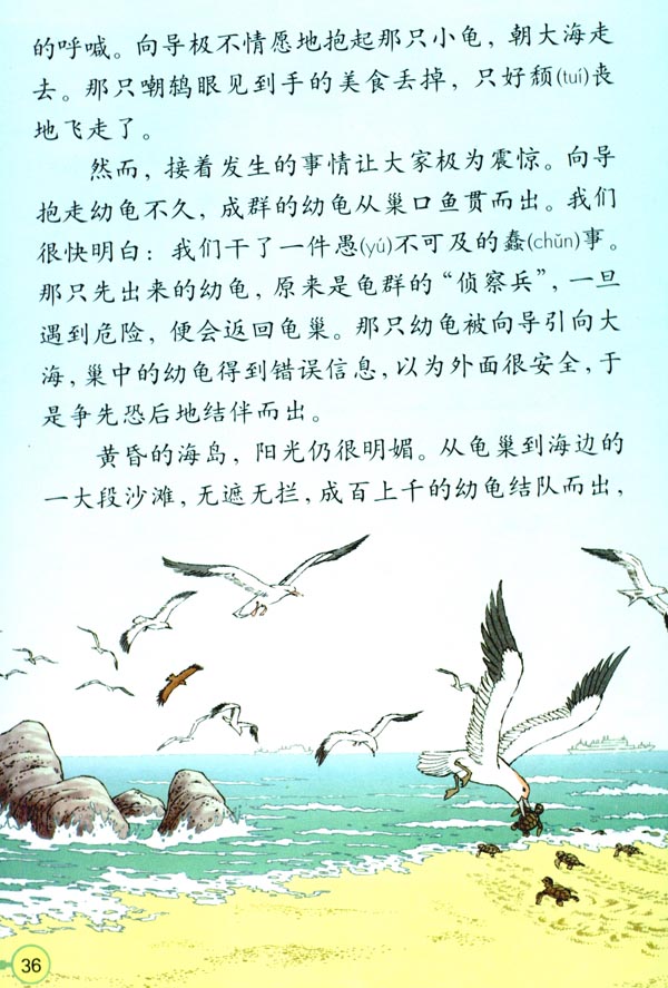 9 自然之道(第36页)