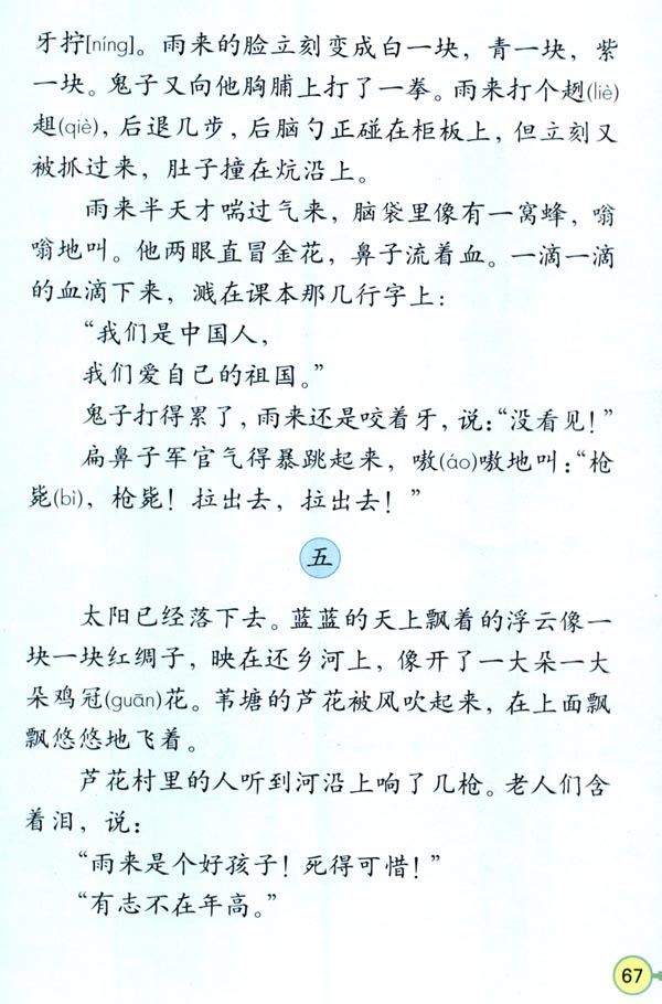 14* 小英雄雨来(第67页)