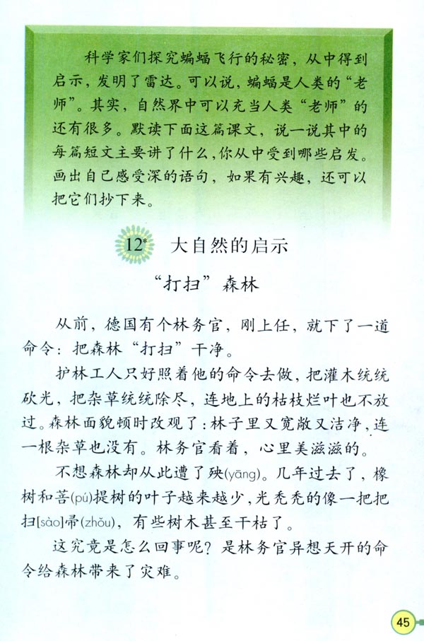 12* 大自然的启示(第45页)