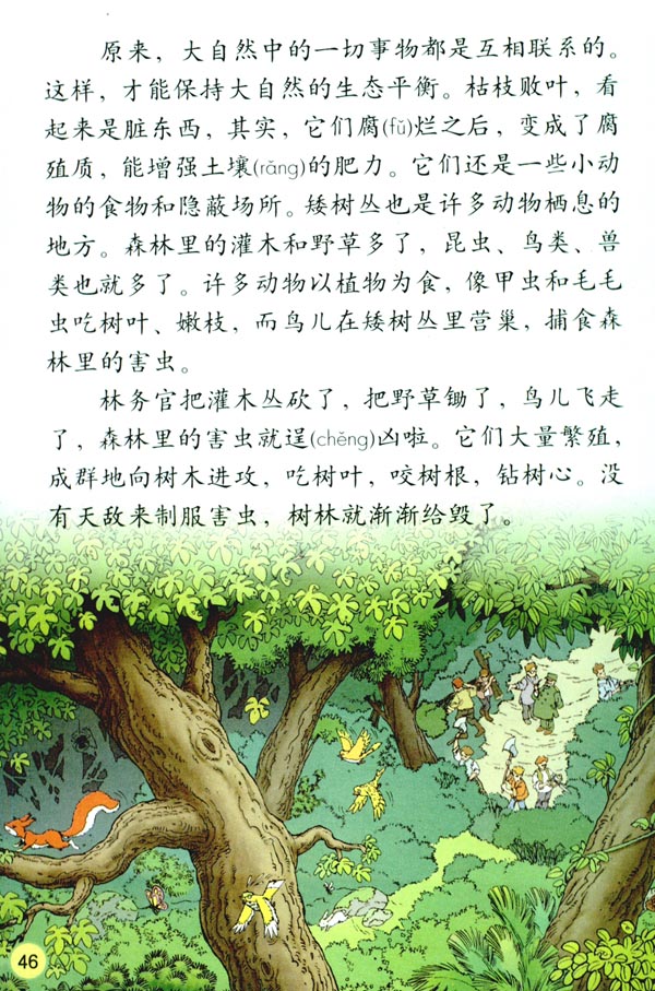 12* 大自然的启示(第46页)