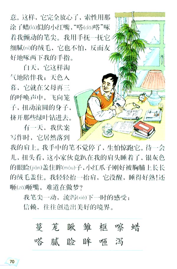 16* 珍珠鸟(第70页)