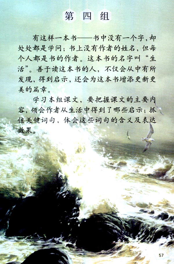 第四组(第57页)