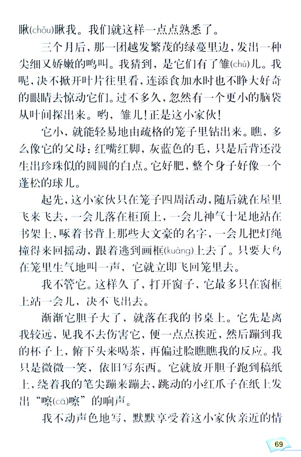 16* 珍珠鸟(第69页)