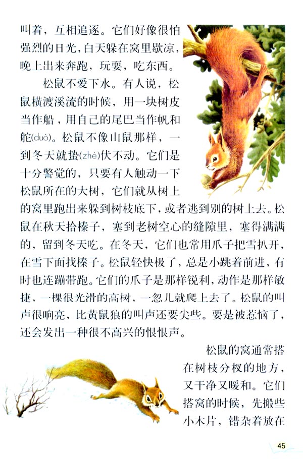 10* 松鼠(第45页)