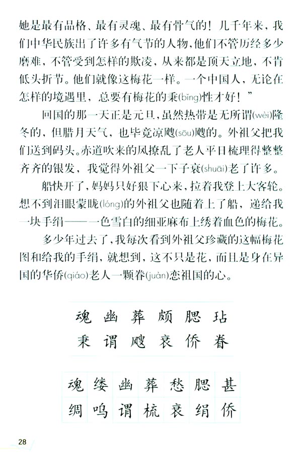 6 梅花魂(第28页)