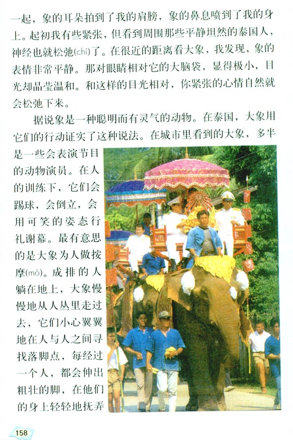 27* 与象共舞(第158页)