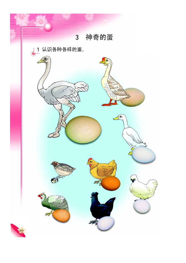 3 神奇的蛋(第60页)