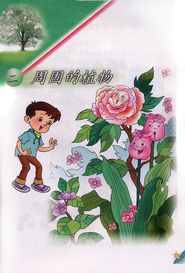 二 周围的植物(第21页)