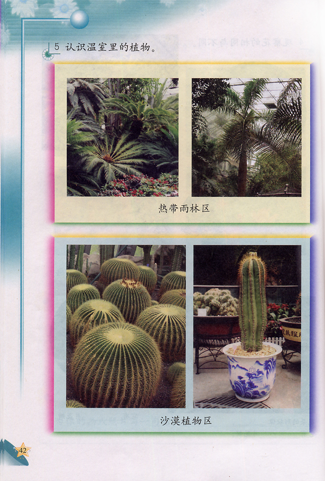 4 参观植物园(第42页)