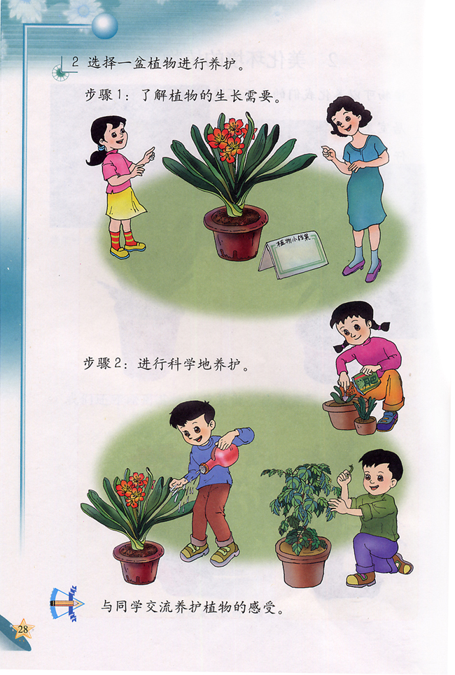 2 美化环境的植物(第28页)