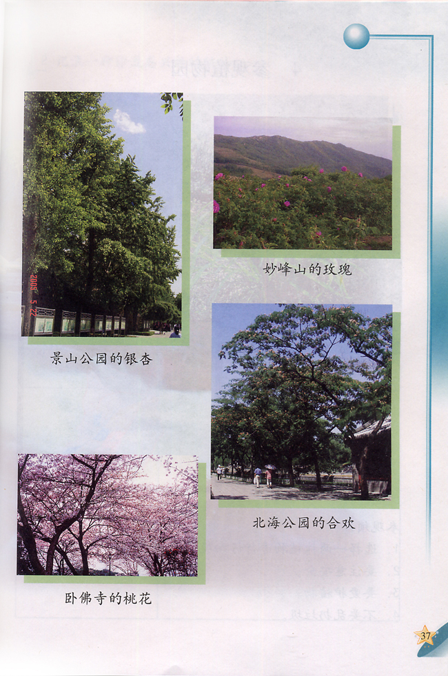 3 北京的市树和市花(第37页)