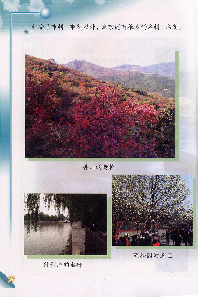 3 北京的市树和市花(第36页)