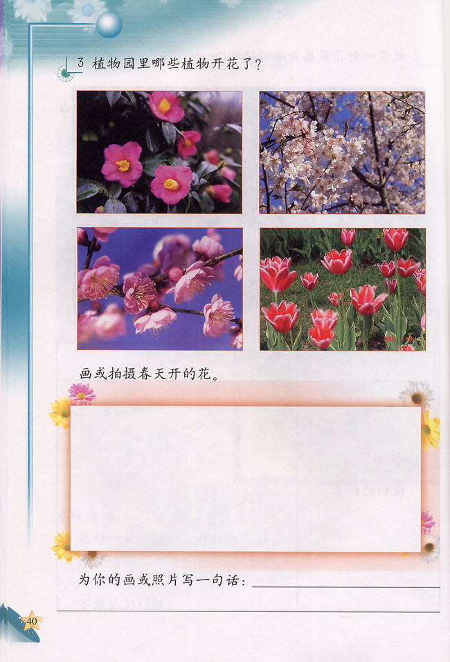 4 参观植物园(第40页)